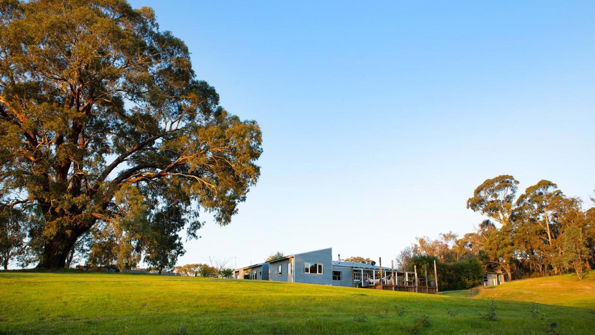 The Welcome Paddock Villa Hepburn Exterior photo